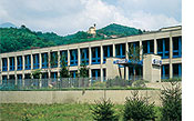 FAULHABER MNIMOTOR Switzerland, Croglio